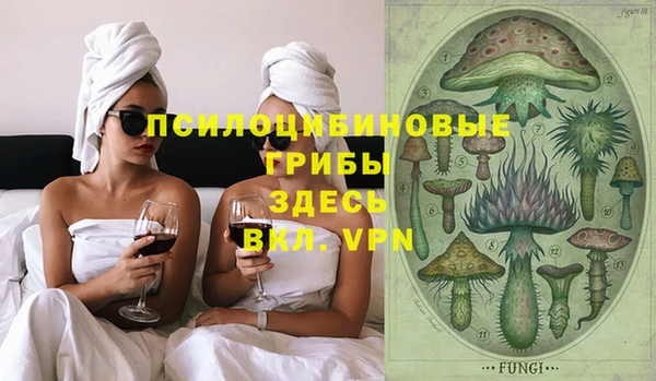 бошки Алзамай