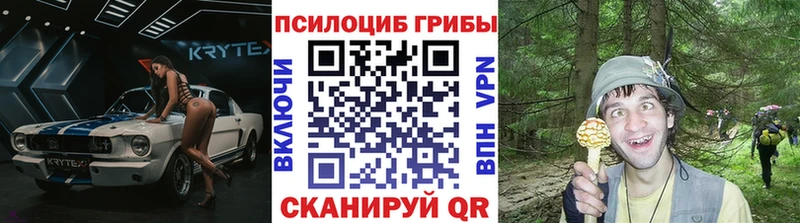 Галлюциногенные грибы Cubensis  дарк нет Telegram  Ардатов 
